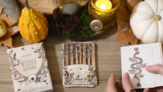 I Created a Nature-Inspired Oracle Deck | WILDERA LENORMAND Flip-Through смотреть онлайн