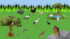 Изучаем новые слова. Птицы и их голоса. Развивающие мультфильмы.