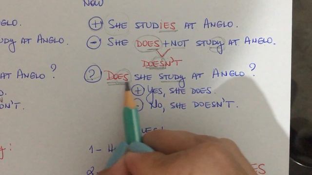 Simple Present Tense Revision смотреть онлайн