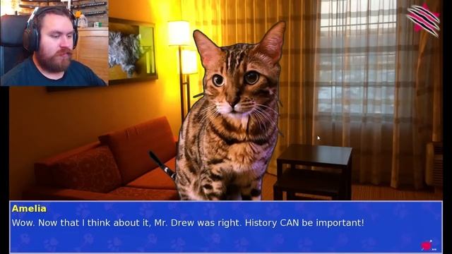EQUALITY FOR ALL CATS AND HUMANS! | Cat President - A More Purrfect Union #2 смотреть онлайн