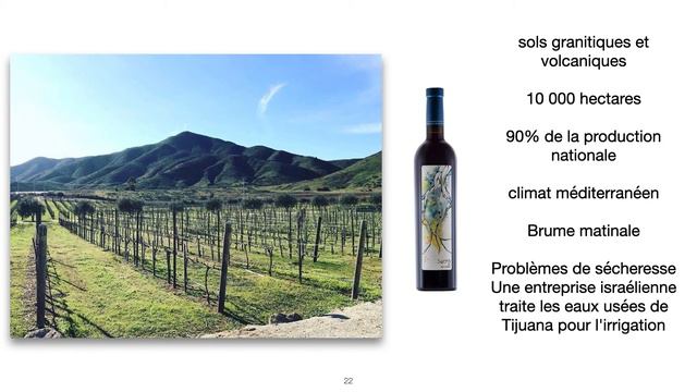 FIT 2021 - Vins du Mexique, quo vadis, quo venis - Rafael Inigo Pavlovich смотреть онлайн