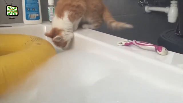 BEST Funny Moments 2018 Epic Laughs(ЛУЧШИЕ ПРИКОЛЫЫ 2018)