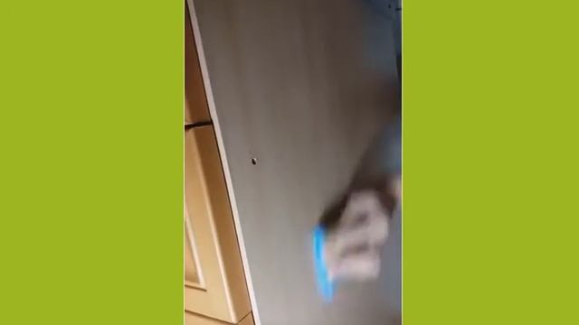 ТЕСТИРУЕМ СПОНЖ ДЛЯ КУХНИ КОМПАНИИ ГРИНВЕЙ смотреть онлайн