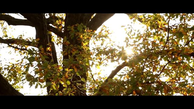 Булат & Диана смотреть онлайн