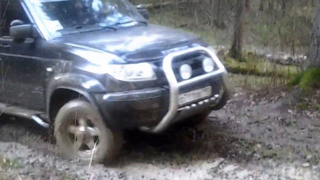 Алешкинский лес 09.11.2013г. смотреть онлайн