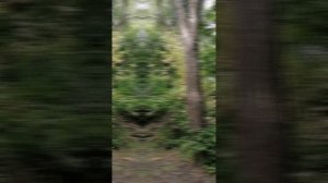 Отдых с палаткой на Дону