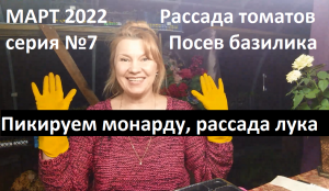 Март 2022 серия 7. Уход за рассадой томатов, лука, монардой....