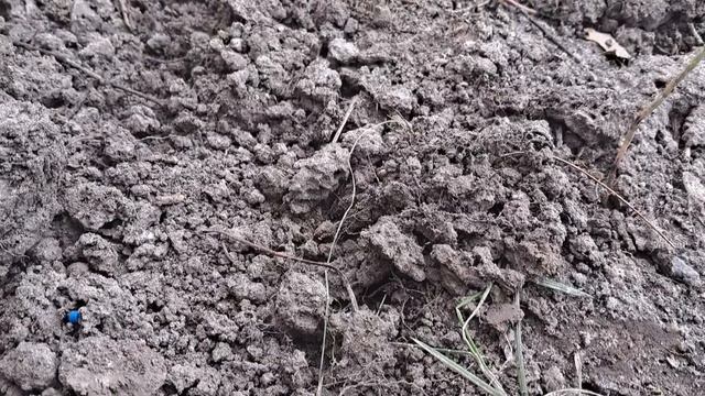 КАК УЛУЧШИТЬ ПЛОДОРОДИЕ ПОЧВЫ И ПОЛУЧАТЬ СУПЕР УРОЖАЙ ОВОЩЕЙ И ЯГОД. ЭНЦИКЛОПЕДИЯ ДАЧНИКА смотреть онлайн