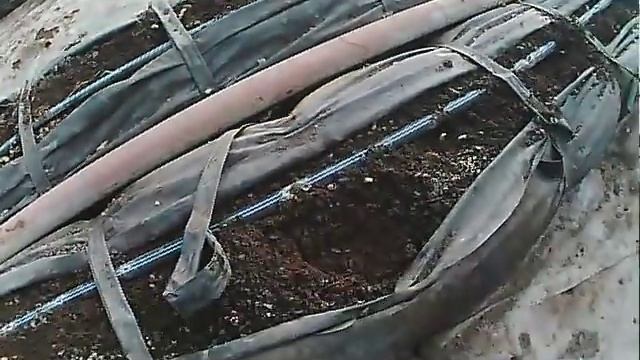 выращивание огурцов зимой смотреть онлайн