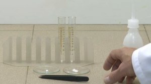 Влияние площади поверхности на скорость реакций в гетерогенных системах. Опыт 2