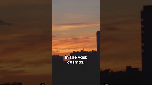 Unexpected Thankful Words смотреть онлайн