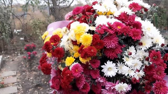 ХРИЗАНТЕМА В БУКЕТЕ.ОСТАТКИ РОСКОШИ. смотреть онлайн