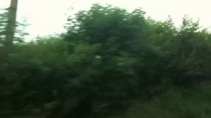 Провинциальная Чехия. Чешские деревни | Olinka