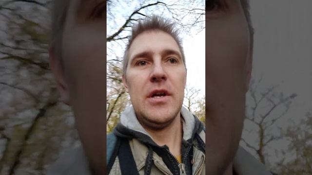 Притча о кабачках. рубрика 