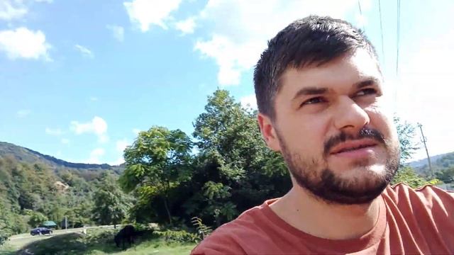 Конные прогулки Сочи смотреть онлайн