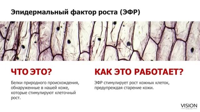 Доктор Элмантас Поцевичус рассказывает о VISION SKINCARE - новой линии косметики от Vision смотреть онлайн