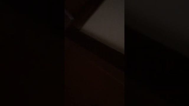 Scarzo a mio papà. смотреть онлайн