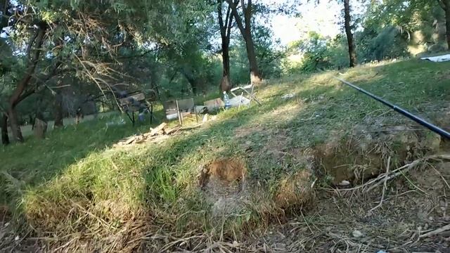 Рыбалка на поплавок. Водохранилище Ала-Арча. смотреть онлайн