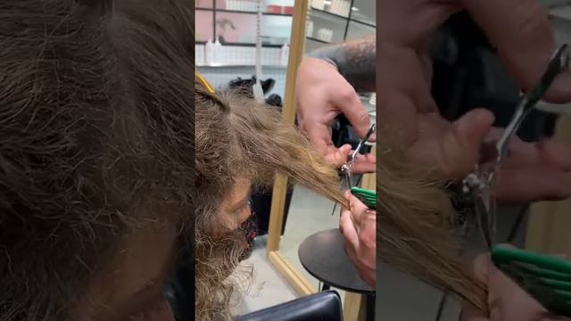 Dry-cutting a curly bob (triangle) with bangs :) смотреть онлайн