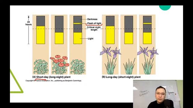 Раздражимость Растений (часть 2) смотреть онлайн