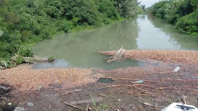 Поваленное дерево в канале смотреть онлайн
