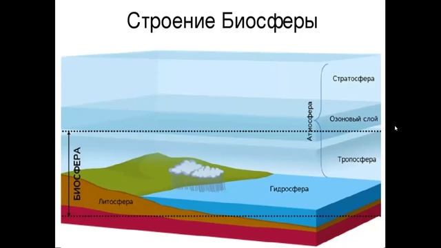 Живая оболочка Земли