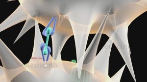 Антиагреганты и антикоагулянты