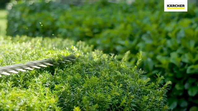 Tagliasiepe a batteria HGE 18-45- Come utilizzare il leggero tagliasiepi a batteria 18 V смотреть онлайн