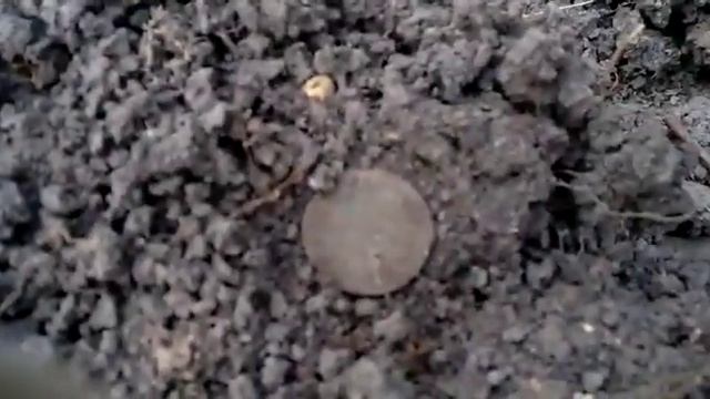 Garrett At Gold монета 2 копейки смотреть онлайн