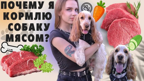 КОРМ ИЛИ МЯСО｜НАТУРАЛЬНОЕ ПИТАНИЕ ДЛЯ СОБАКИ 🐶💘