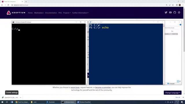 Install Java on Windows смотреть онлайн