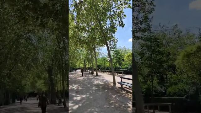 Прогулка по Люксембургскому саду в Париже смотреть онлайн