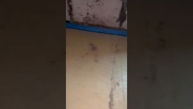 Монтаж трапа Виега#секта_полипропиленщиков #канализация смотреть онлайн