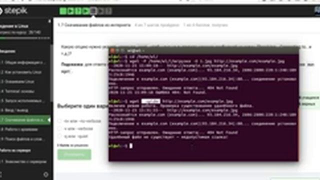wget введение в линукс смотреть онлайн