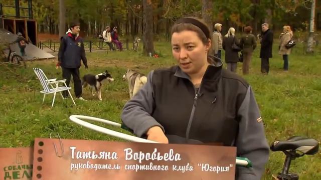 Что необходимо знать владельцам собак об онкологии