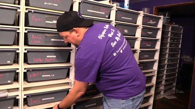 What happens when you breed ball pythons??? смотреть онлайн