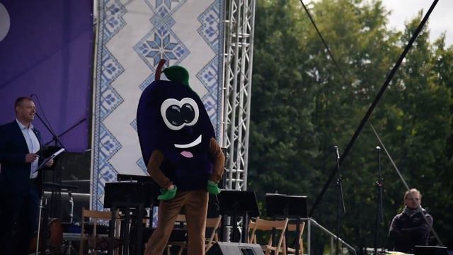 Слива смотреть онлайн