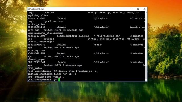 Lec 21 - सभी Docker Container और Images एक साथ कैसे हटाएँ? смотреть онлайн