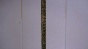 Elf Evolution 5w40 NF 900 vs Castrol Magnatec 5w40 cold test