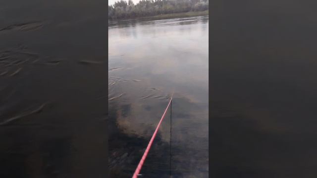 самые частые находки на поисковый магнит