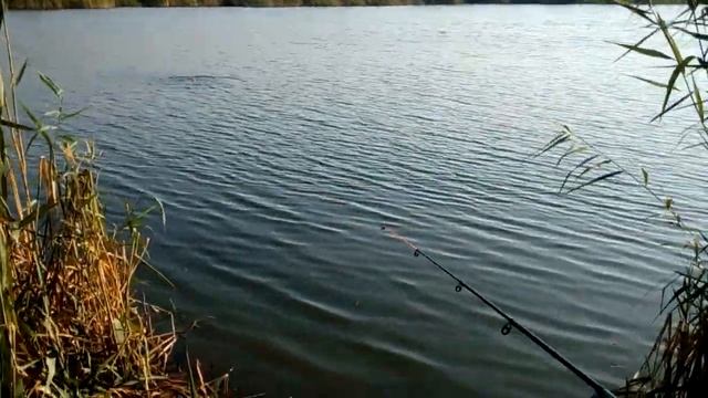 Обзор Лучшего безпроводного Эхолота Fishfinder Phiradar смотреть онлайн