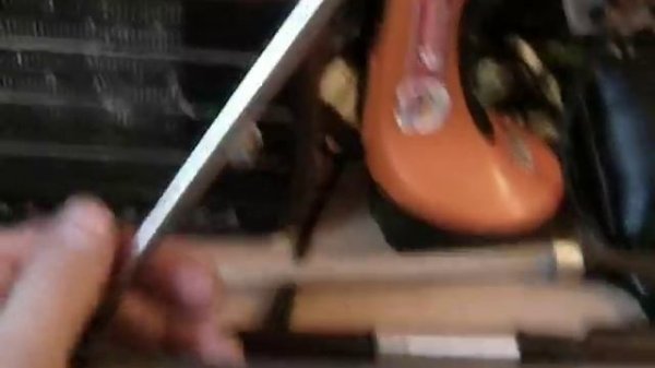 О раскрытых возможностях деген 1103 Degen de 1103