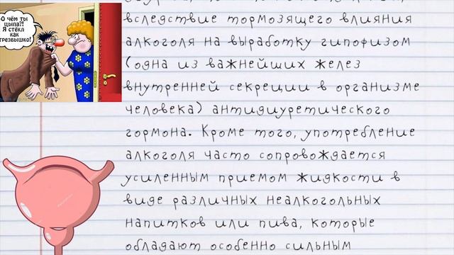 МОЧЕВОЙ ПУЗЫРЬ. Какие бывают ПОВРЕЖДЕНИЯ МОЧЕВОГО ПУЗЫРЯ. Профилактика Повреждений Мочевого Пузыря! смотреть онлайн