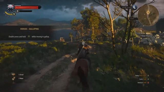 The Witcher 3 test on hairworks (Ver 1.0.2) смотреть онлайн