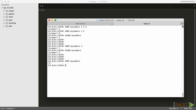 Building Databases with Redis Tutorial: Tagging Images with Sets | packtpub.com смотреть онлайн