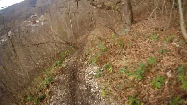 Новогодние чудеса. Колорадо 31.12.2022 смотреть онлайн