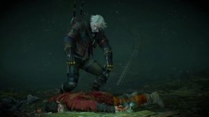 «Ведьмак 3: Дикая Охота» — как быстро убить жабу