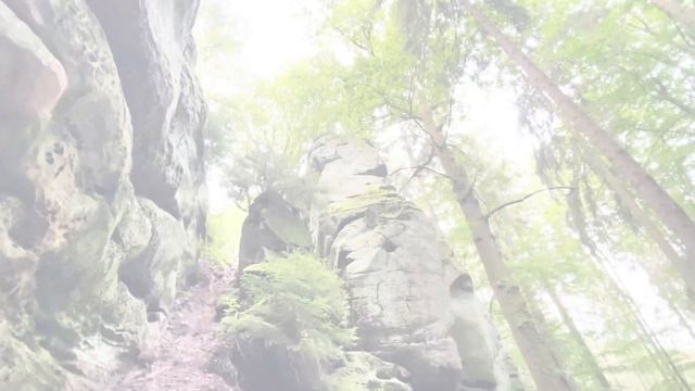 Luxemburg Hiking Tour 2021 Mullerthal-Berdorf-Nommern Trail 🇱🇺🥾 Beautiful Landscapes🤩 смотреть онлайн