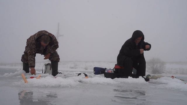 Караси проснулись и начали утаскивать удочки смотреть онлайн