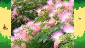 День в Шишкином Лесу. Умные растения